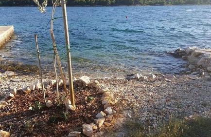 Holiday Home Zeljana - Foto 42