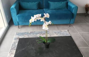 New villa 5mn from the beach-Pyrenees view - Foto 1