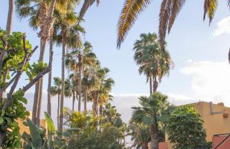 Atlantic Garden Beach & Surf 165 - Photo 8