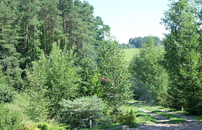 Masurian Settlement - House for 6 People Near the Lake - 2 Bedrooms - Foto 13