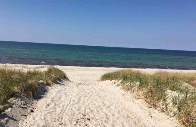 Holiday House Dune Forest b - Photo 15