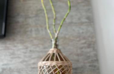 Mia's Home - Foto 31