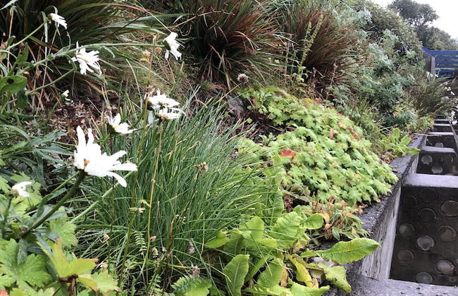 Easterhoull Chalets - Photo 42