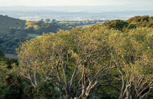 Swan Landing - Photo 23