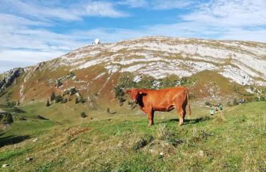 Cahute de montagne - Foto 11