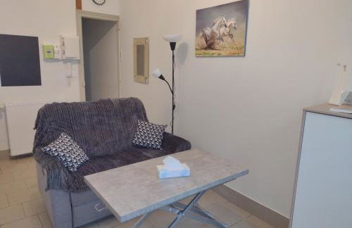 Appartement RDC chez Caroline - Foto 4