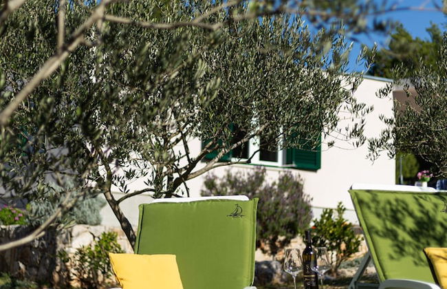 Olive Eden - Foto 44