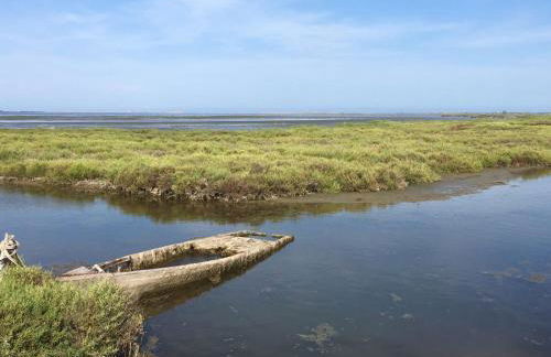 Vistas al mar playa Eucaliptus, con solarium privado - Foto 43