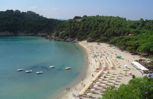 L' Elicriso - Photo 13