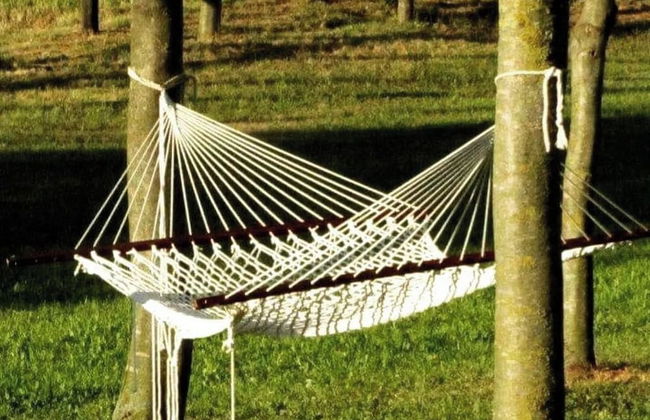 AGRITURISMO L'EREMO - Photo 40