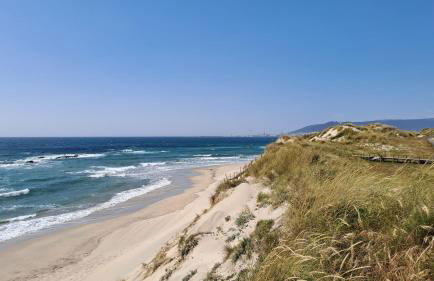 Terra e Mar - Foto 12