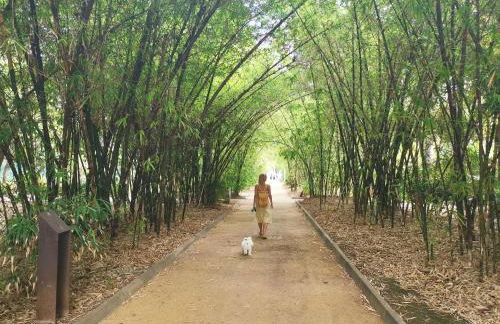 Home2Book Amazing View Apart Floor 25 Santa Cruz - Foto 34