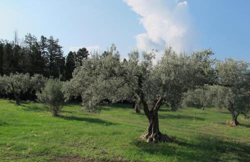 Holiday home Stella di Sicilia - Foto 11