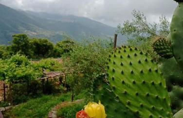 Atelier.Germana - Foto 22