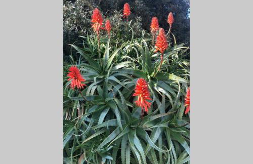 Loft UGB suite terrazzo nel cuore di Porto Rotondo - Foto 19