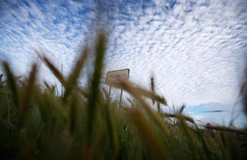 Casa Amado, Aldeia da Pedralva - Foto 38