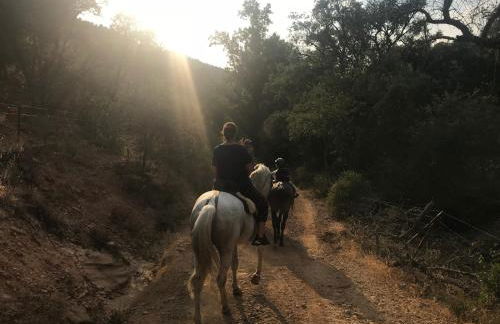 La Apañaora - Foto 53