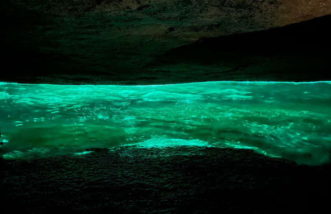 Tour pela gruta do Acaiá e lagoas de Ilha Grande - Foto 5