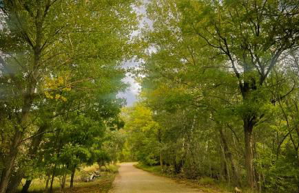 Casa Rural Mayoral (Barriopedro) - Foto 19
