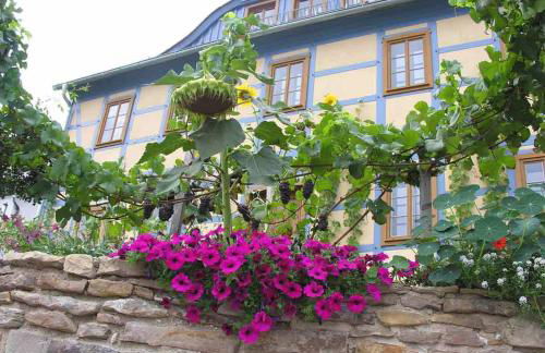 In der alten Weinstube - Photo 13