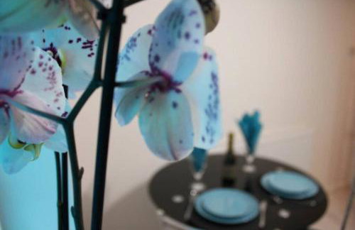 The Little Acorn - Photo 7