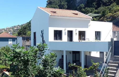 Lazy Lizard by the Ocean - Foto 71