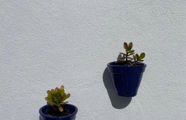 Sítio DaTerra - Foto 6