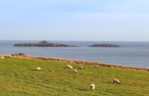 Cae'r Wylan - Foto 25