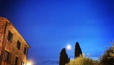 Agriturismo Spazzavento - Foto 5, Garden