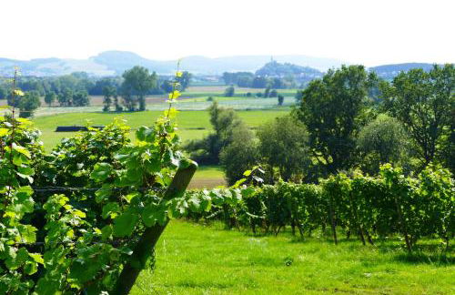 Ferienwohnung Tielmann - Foto 7