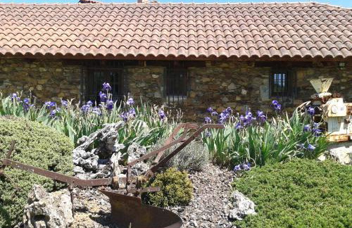 La Forqueta y El Fontanal - Foto 70