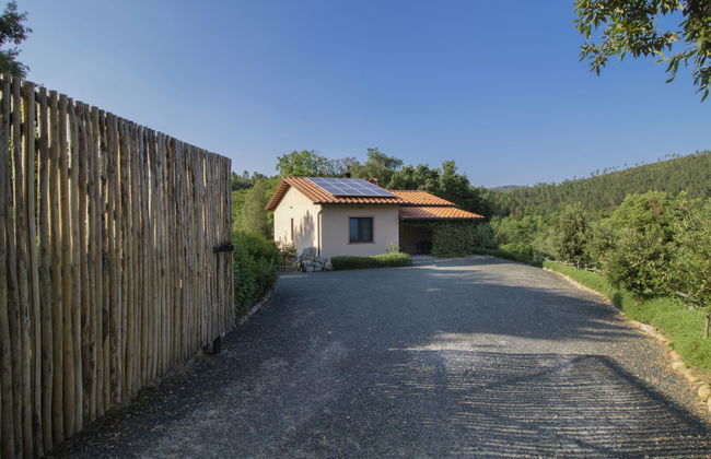 Casa la Selvolina - Foto 29