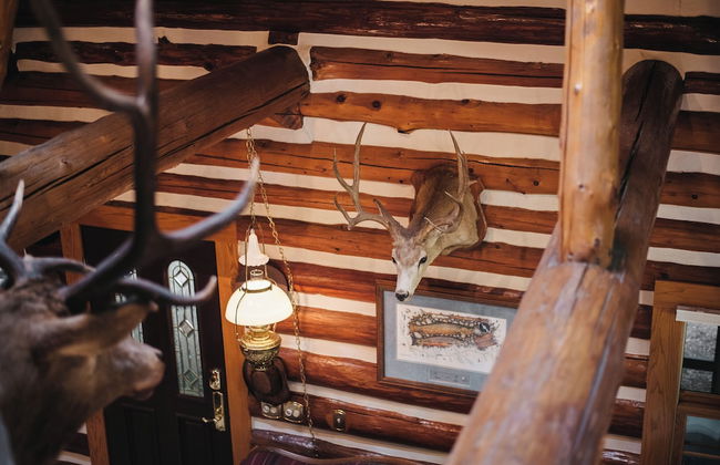 Nature's Beauty Loft Forks River Lodge - Foto 26