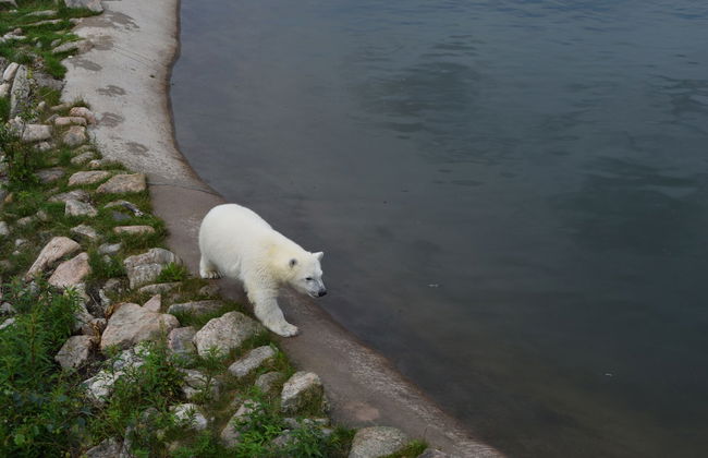 Koivumäki - Photo 18