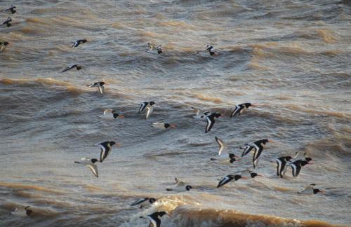 The Waterside Rooms - Foto 25