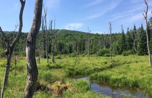 1800OR Unique 'yurt' home in Bretton Woods 1 mi to skiing firepit foosball beach Hot tub - Foto 78