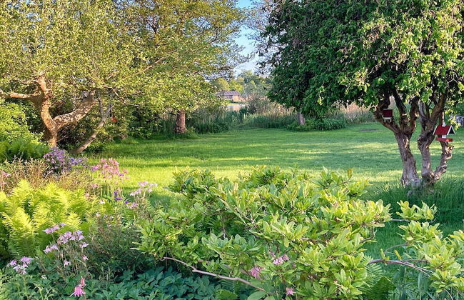 4 Person Holiday Home in Jaegerspris - Photo 15