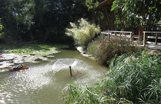 Ecolodge Saba - Natural Pool & Beach - Foto 11