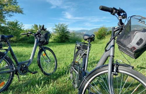 La Salamandre de l Olivier - Le Cèdre Bleu - Foto 34
