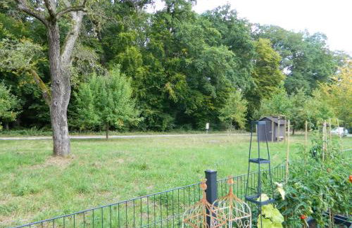 Helle 45 qm Einliegerwohnung - Foto 12