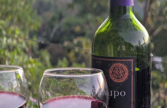 Campos de Oro Wilderness Lodge - Photo 17