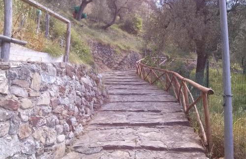 le case dei fiori - Foto 78