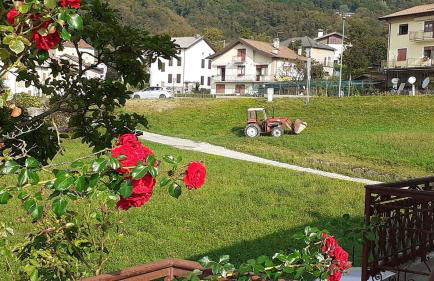 Colori nel parco - Foto 17