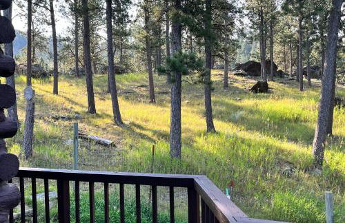 Mountain-Top Haven - Foto 24