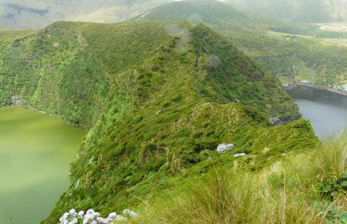 Fajazinha Cottage - Foto 50