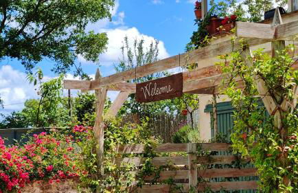 Locazione turistica nel verde Civita di Bagnoregio - Foto 10