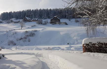 Haus Wiesengrund - Photo 12