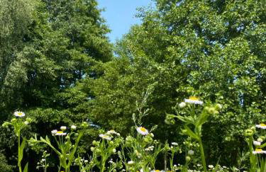 Lazurowy Brzeg - Foto 40