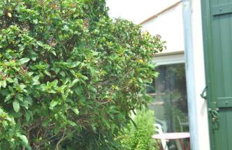 Pavillon des Loritz - Foto 55