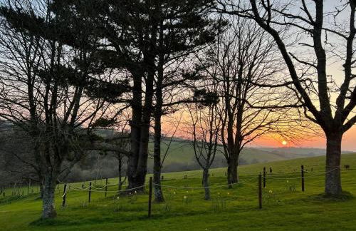 1 Bed in Looe oc-90170 - Photo 17